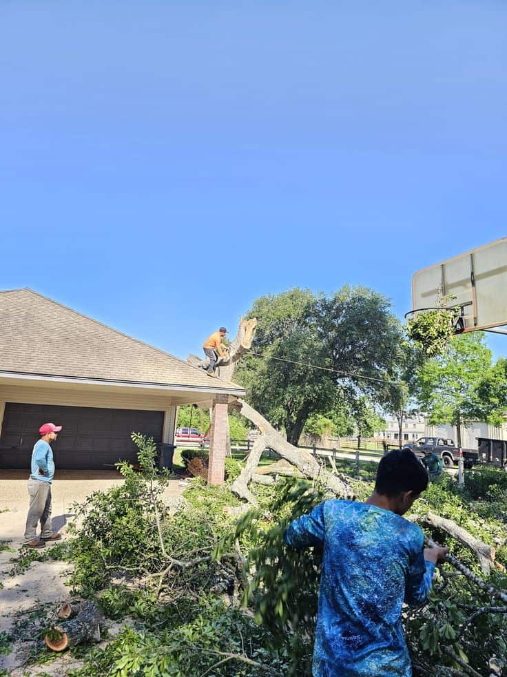 Stoker Tree Service team