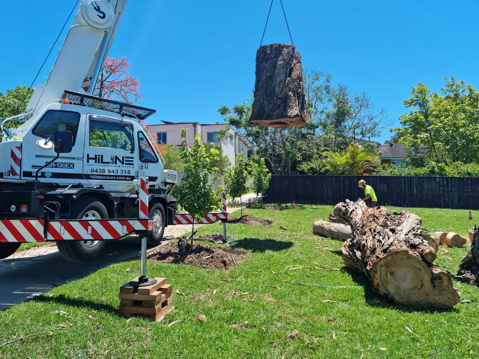 Professional tree removal